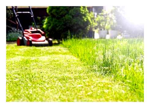 7 nejlepších sekaček pro vaše potřeby trávníku. Sekačka na trávu bez elektrického trávníku