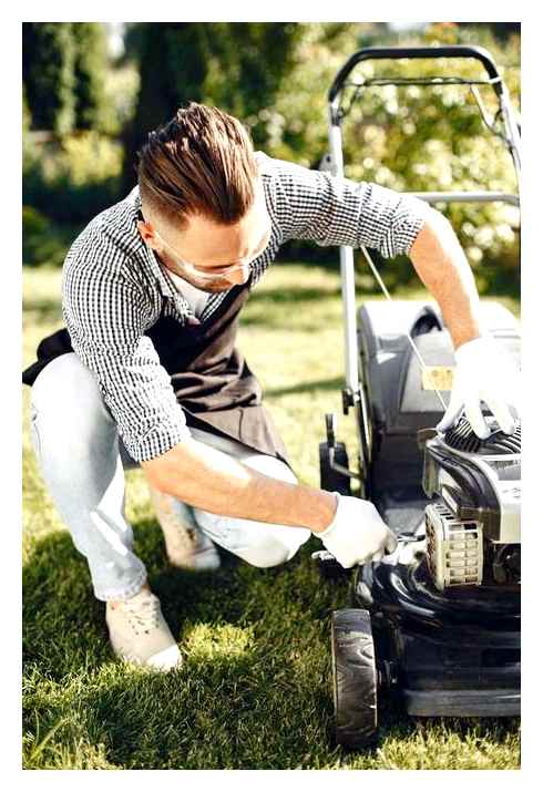 Jak vyčistit karburátor na sekačce na trávu, aniž byste jej odstranili. Čištění sekačky na trávu
